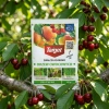 Syllit 65 WP – Na Choroby Drzew Owocowych – 45 g Target