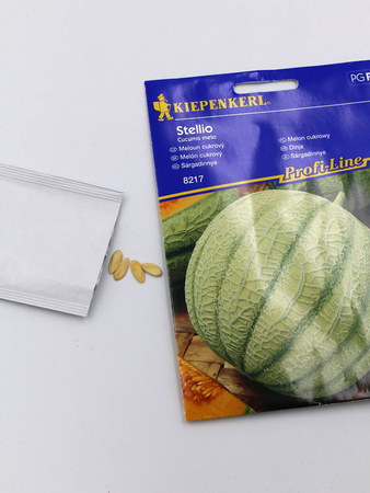 Melon Cukrowy 'Stellio' F1 – Kiepenkerl