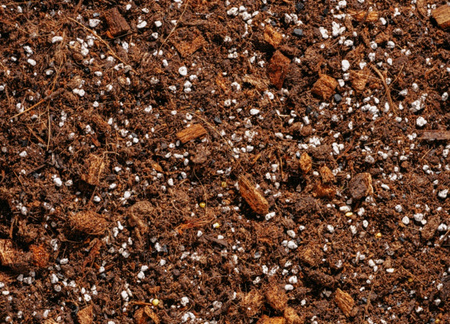 Podłoże do aglaonemy, diffenbachii, caladium 5 L - Urban Jungle