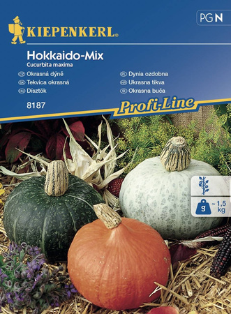 Dynia 'Hokkaido' – Mix – Kiepenkerl