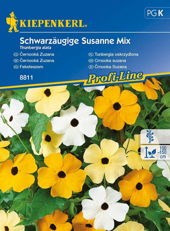 Tunbergia Oskrzydlona – Mix Nasion – Kiepenkerl