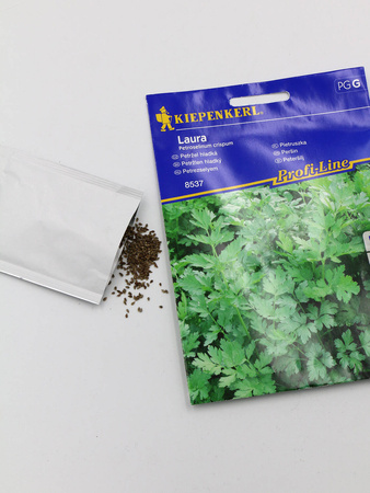 Pietruszka Naciowa 'Laura' – Kiepenkerl