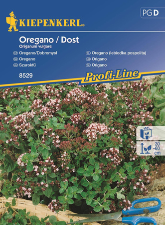 Oregano Lebiodka – Nasiona Kiepenkerl