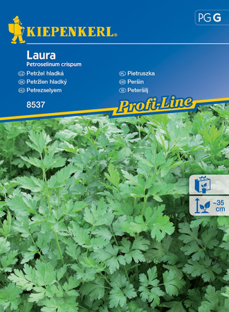 Pietruszka Naciowa 'Laura' – Kiepenkerl