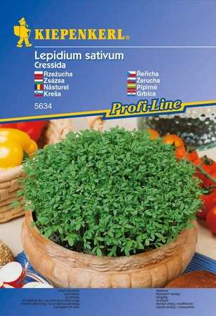 Rzeżucha 'Cressida' – Ogrodowa – Kiepenkerl