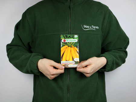 Cukinia 'Bananowy Song' F1 – 2 g Legutko