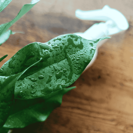 Regenerator do roślin zielonych doniczkowych – 300 ml Vegano