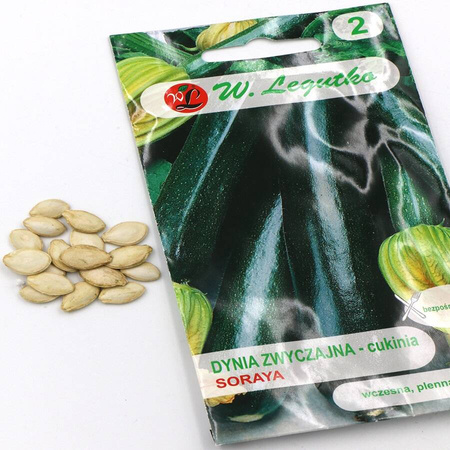 Dynia Zwykła 'Soraya' – 2 g Legutko 