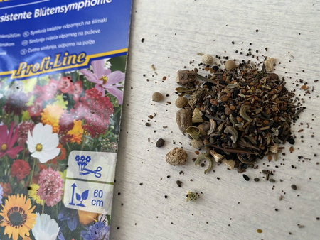 Kwiaty Odstraszające Ślimaki – Mix Nasion – Kiepenkerl