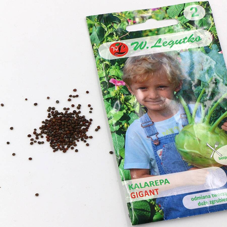 Kalarepa 'Gigant' – Na Późny Zbiór – Kiepenkerl