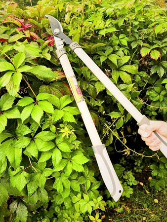 Nożyce do gałęzi 66 cm Green Star