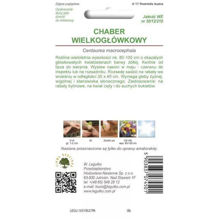 Chaber Wielkogłówkowy – Żółty – Legutko