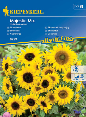 Słonecznik Zwyczajny 'Majestic Mix' – Kiepenkerl