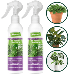 Regenerator do roślin zielonych – odżywka, nawóz w sprayu (mgiełka) – 2 x 300 ml Vegano