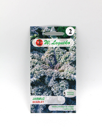 Jarmuż ‘Scarlet’ – 1 g Legutko