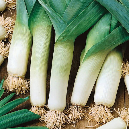 Por 'De Carentan 2' – Późny – Kiepenkerl