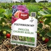 Polyversum WP zwalcza choroby trawnika, iglaków, drzew i krzewów oraz warzyw – 5 g Target