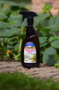 Stymulator wzrostu ze skrzypu polnego (ekstrakt) w sprayu – 500 ml Himal