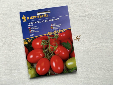 Pomidor 'Roma VF' – Rzymski – Kiepenkerl