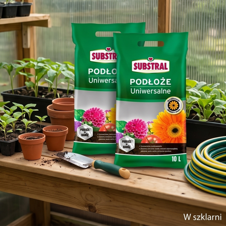 Podłoże uniwersalne – 10 l Substral (Zestaw 2 szt.)