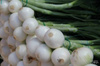 Cebula 'Snowball' – Dymka 250 g