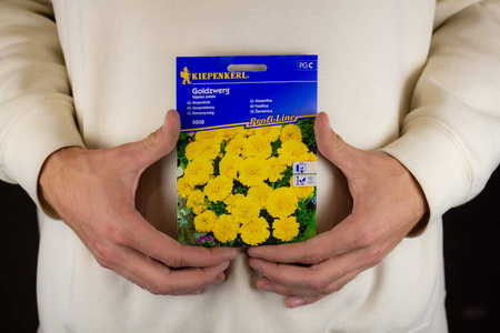 Aksamitka 'Goldzwerg' – Żółta – Kiepenkerl