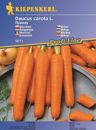 Marchew 'Flyaway' F1 – Odporna – Kiepenkerl