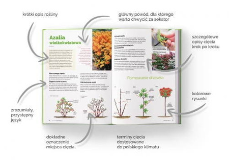 Szkoła Cięcia 1 + 2 – Zestaw Książek