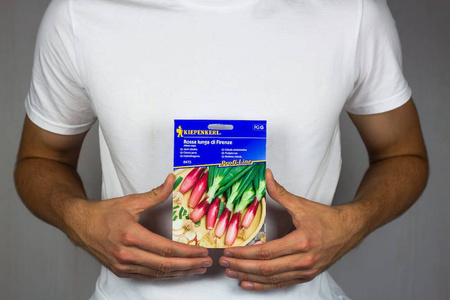 Cebula siedmiolatka – Czosnek dęty – Kiepenkerl