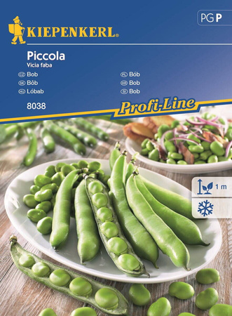 Bób 'Piccola' – Długie Strąki – Kiepenkerl