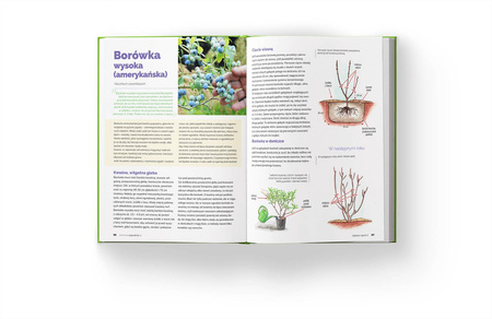 Książka Szkoła Cięcia 2 – Drzewa i Krzewy Owocowe – Lucyna i Alicja Grabowska
