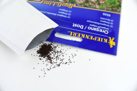 Oregano Lebiodka – Nasiona Kiepenkerl