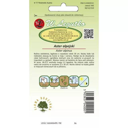 Aster Alpejski – Mix Kolorów – Legutko
