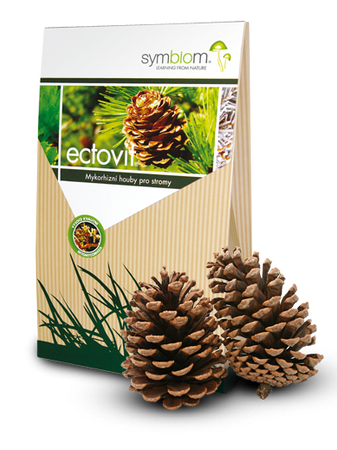 Mikoryza Ectovit – Do Iglaków – 100 g Symbiom