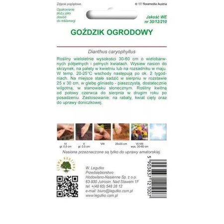 Goździk Ogrodowy – Mix Kolorów – Legutko