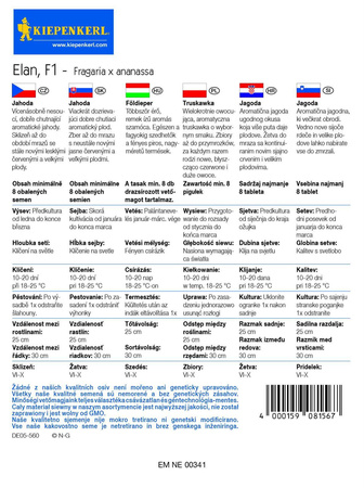 Truskawka 'Elan' F1– Zwisajaca – Kiepenkerl