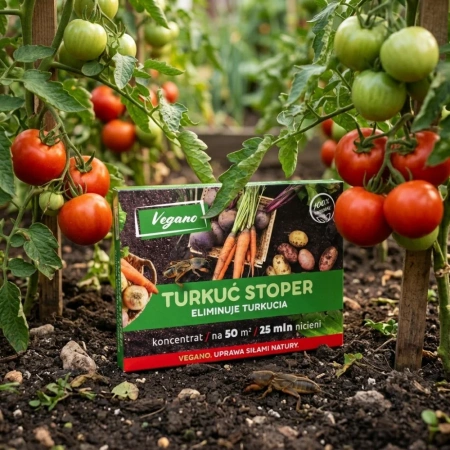 Turkuć Stoper 25 MLN – nicienie na turkucia i inne szkodniki – Vegano Turkuc_Stoper_na_trawniku