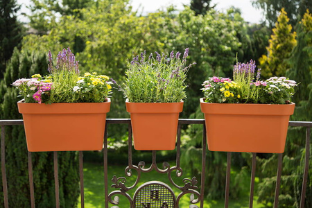 Donica Balustradowa Lobelia 45 cm – Mokka – Lamela