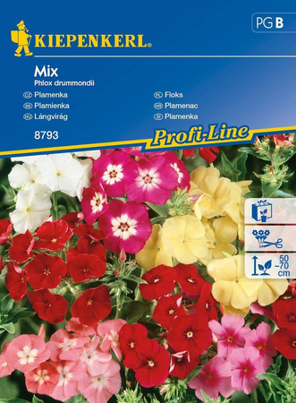 Floks Drymmonda – Mix Nasion – Kiepenkerl