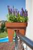 Donica Balustradowa Lobelia 45 cm – Mokka – Lamela