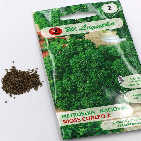 Pietruszka Naciowa 'Moss Curled' – 5 g Legutko
