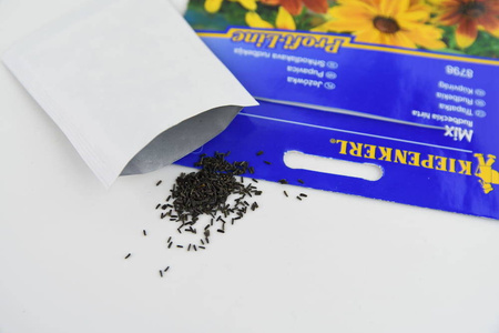 Rudbekia Owłosiona – Mix Nasion – Kiepenkerl
