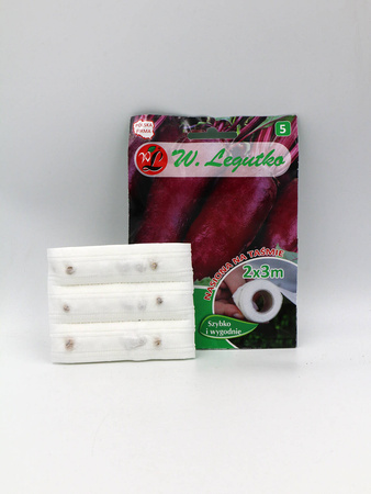 Burak Ćwikłowy 'Opolski' – Na Taśmie – 6 m Legutko