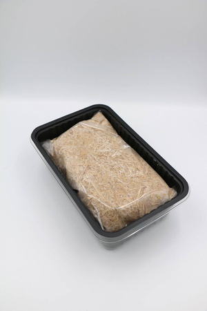 Boczniak Ostrygowaty – Zestaw Do Uprawy Grzybów – 3 l Exotic Grow Planto