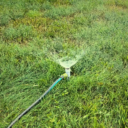 Zraszacz statyczny szpilka Green Star