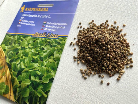 Roszponka Vit – Kiepenkerl