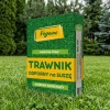Trawnik odporny na suszę – nasiona traw z mikrokoniczyną 1 kg Vegano