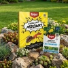 Ants Control – Granulat Na Mrówki – 1 kg Target + Chwastox Nowy Trio  390 SL–  100 ml Target (ZESTAW)