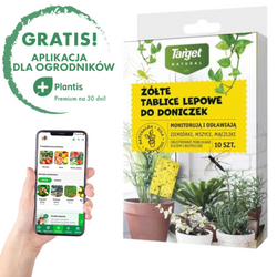 Żółte Tablice Lepowe Na Szkodniki Roślin Domowych – 10 szt. Target