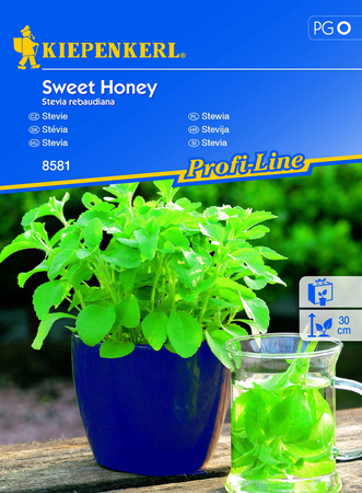 Stewia 'Sweet Honey' – Nasiona – Kiepenkerl